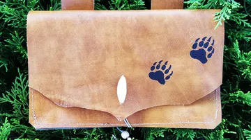 Leather bag with paw prints hanging on a tree