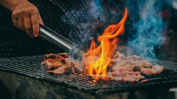 Meat is cooked over open flames on a grill.