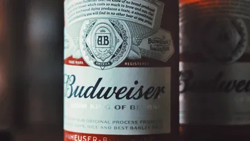 Budweiser describes beer bottle standing in a blurred background.