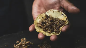 Hand holding taco with meat filling