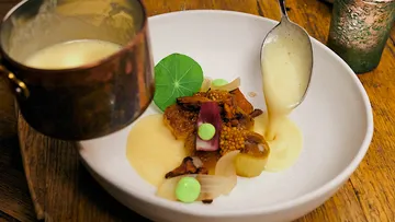 Ein Teller mit kunstvollem Essen wird serviert.