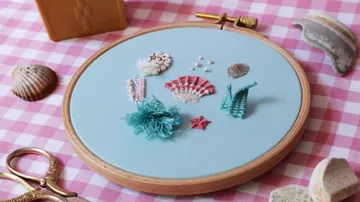 Embroidered frame depicts various shells on blue fabric