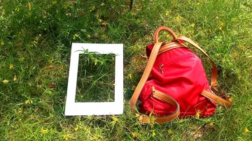 Red backpack and white frame on green grass.
