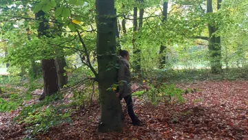 A person stands face down behind a tree in the forest.