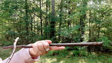 A stick is held by a hand in the forest.