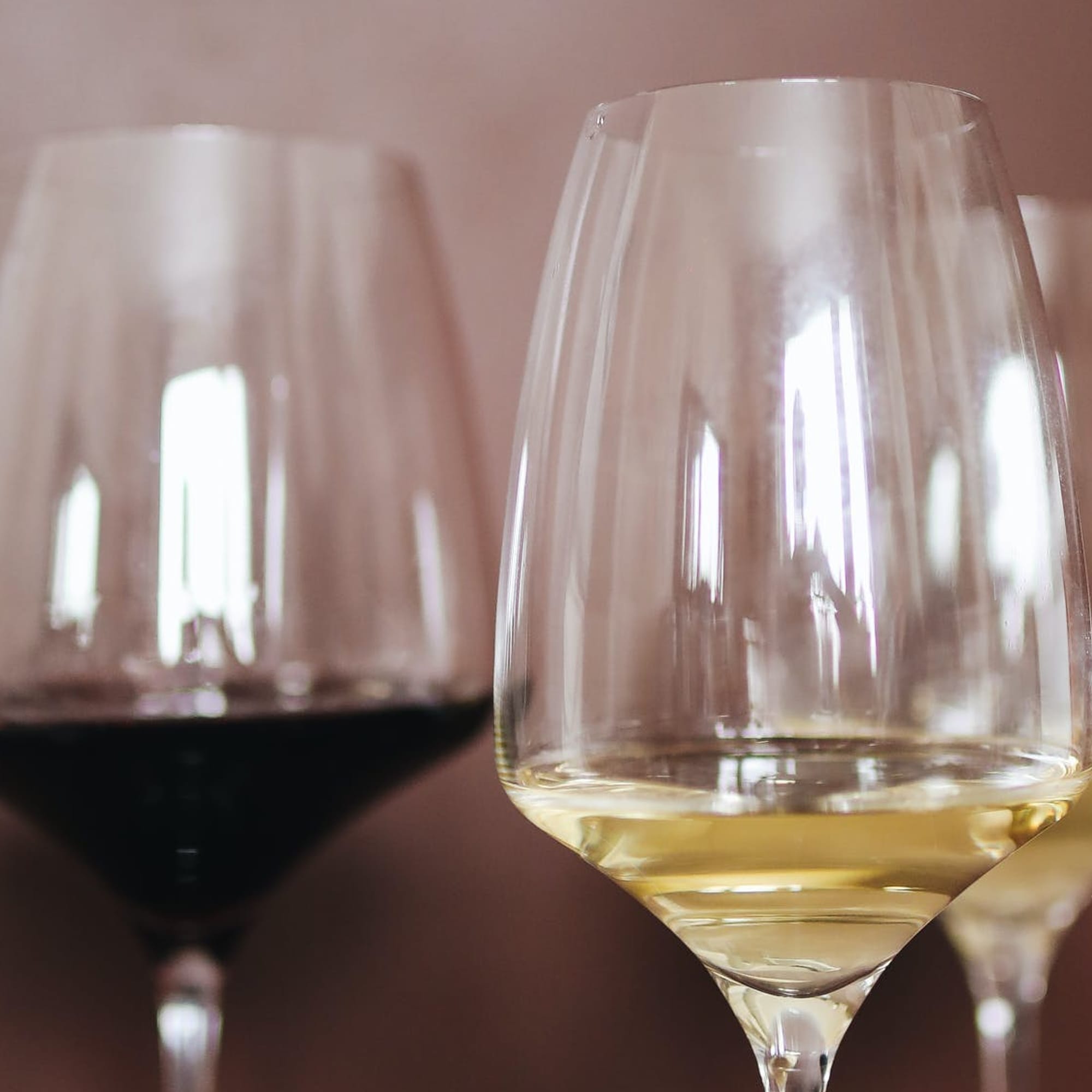 Easy going wine tasting in München