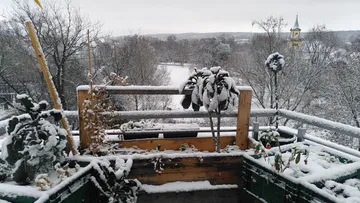 Wintergemüse Balkon
