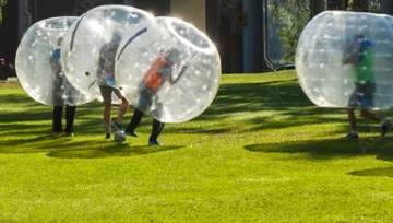 Kugeln rollend, spielend auf einer grünen Wiese.