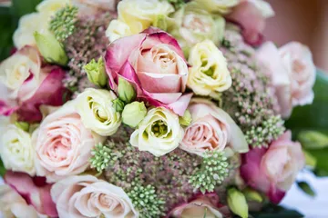 Colourful bouquet of flowers arranged in a relaxed setting.