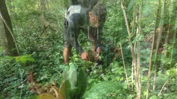 A man picks plants in a thick, green forest.
