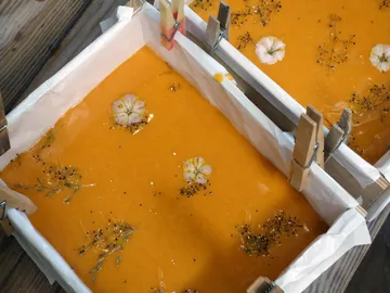 Orangene Flüssigkeit mit Blumen und Kräutern in Schalen.