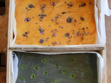 Two blocks of soap, one orange with lavender, another green.