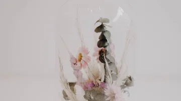 Glasglocke schützt getrocknete Blumen und Pflanzen im Inneren.