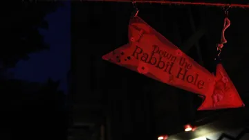 Ein Pfeil zeigt nach unten mit dem Text „Down the Rabbit Hole“.