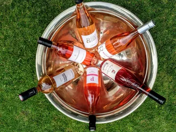 Six rosé wine bottles lie in a silver bowl.