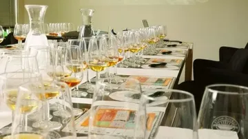 Reihe von Gläsern steht auf einem Tisch für Verkostung.