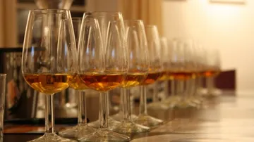 Glasses with drinks are neatly placed on a table.