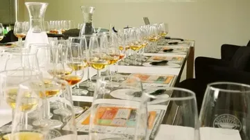 Set of glasses on table, ready for tasting.