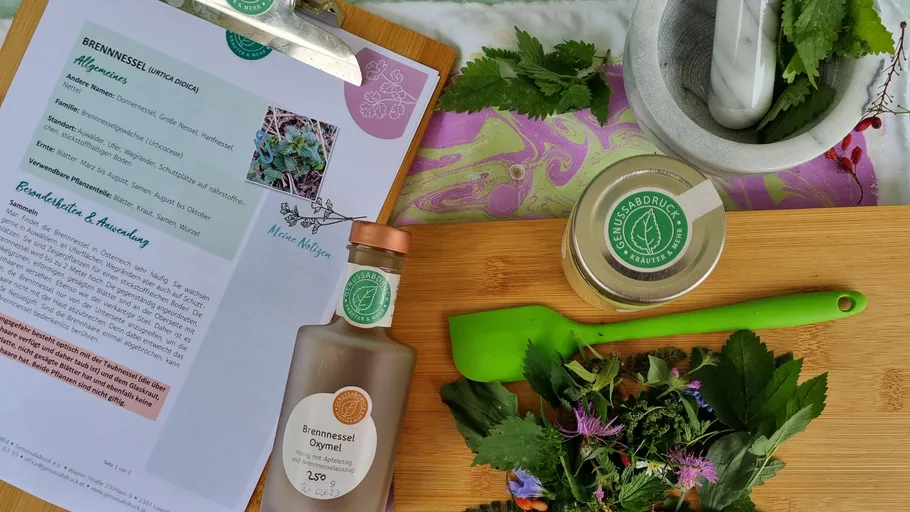 Nettle guide, herbs, and ingredients on board.