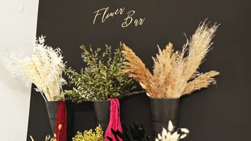 Three plants in pots on a black wall with lettering.