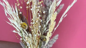Bouquet of dried flowers stands against a pink background.
