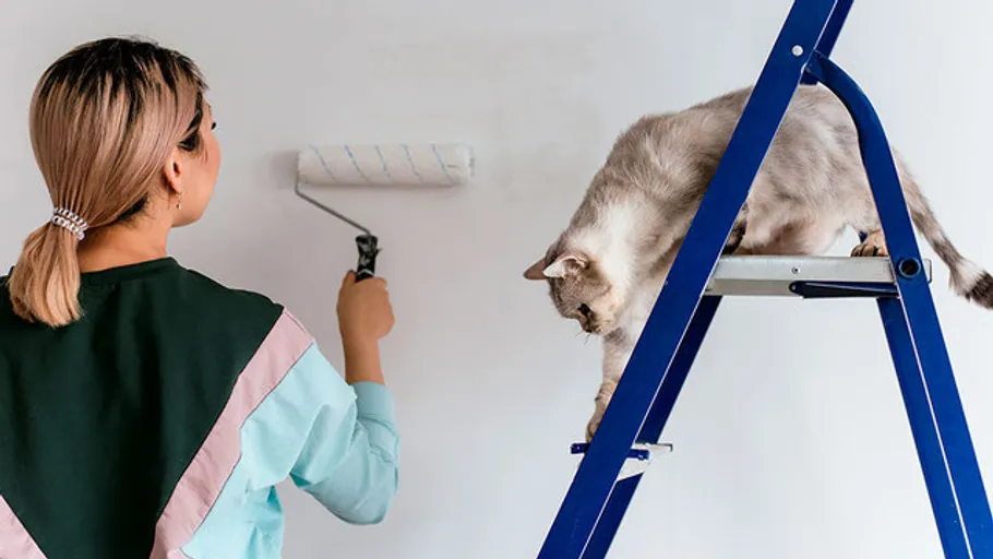 Frau streicht Wand, während Katze auf Leiter sitzt.