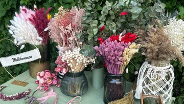 Colourful bouquets of dried flowers are placed on a table.