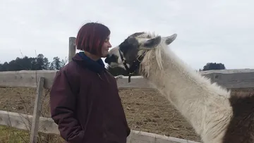 Woman standing in front of llama, who is gently approaching.