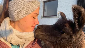 Eine Frau und ein Lama berühren sich sanft mit den Nasen.