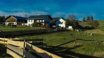 Houses with solar panels are located in rural areas.