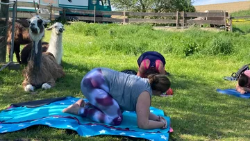 Zwei Frauen praktizieren Yoga auf einer Decke im Freien.