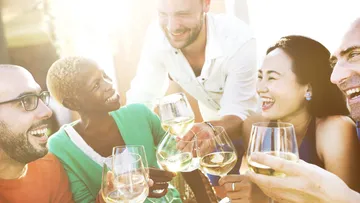 Group of people raise glasses, laugh in sunny surroundings.