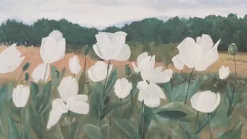 Weiße Blumen wachsen auf einem Feld unter einem Himmel.