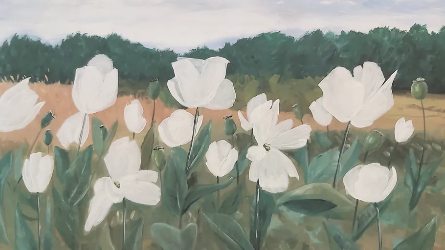 Weiße Blumen wachsen auf einem Feld unter einem Himmel.