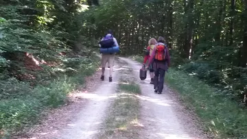 Drei Wanderer gehen einen Schotterweg im Wald entlang.