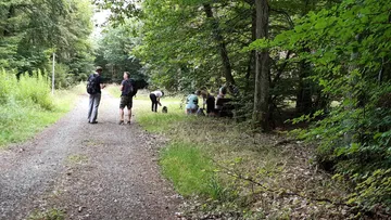 People are standing on a forest path and collecting things.