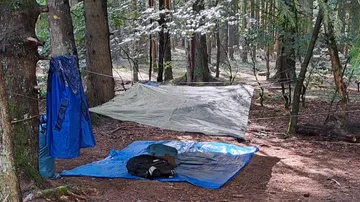 Hammock und Plane hängen zwischen Bäumen im Wald.