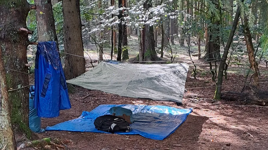 Hammock and tarp hang between trees in the forest.