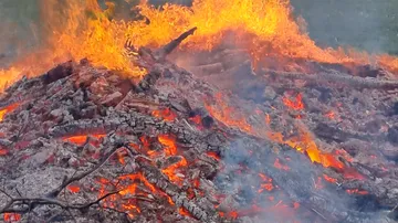 Firewood burns and produces flames in a smoky environment.
