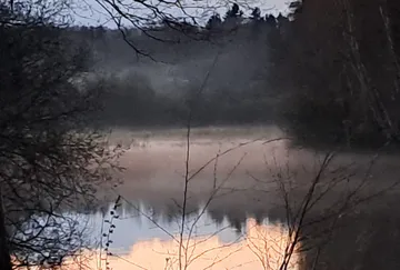 A quiet lake reflects morning fog and light.
