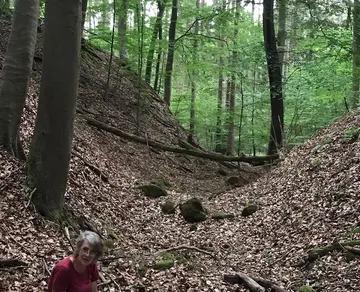 Frau sitzt im Wald zwischen Bäumen und Laub.