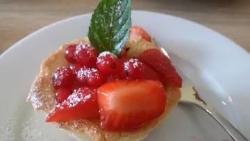 Beerenkuchen auf Teller, dekoriert mit Minze. Süß und frisch.