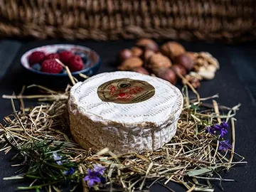 Runder Käse liegt auf Heu, umgeben von Beeren und Nüssen.