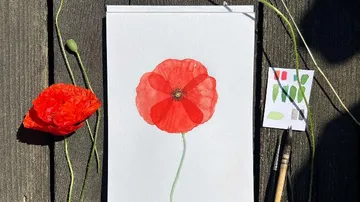 Rote Blume auf Papier, daneben echte Mohnblume und Pinsel.