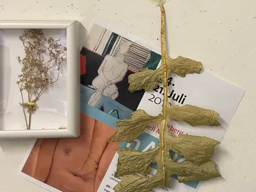 Dried leaves and pictures hang on a wall.