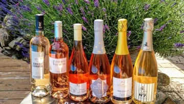 Six bottles of rosé wine stand in front of lavender in full bloom.