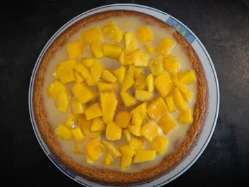 Mango cake is laid out on a white plate, appetizingly decorated.