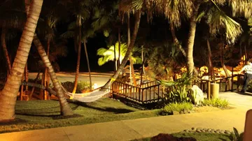 Hammock between palm trees, at night in a tropical setting.