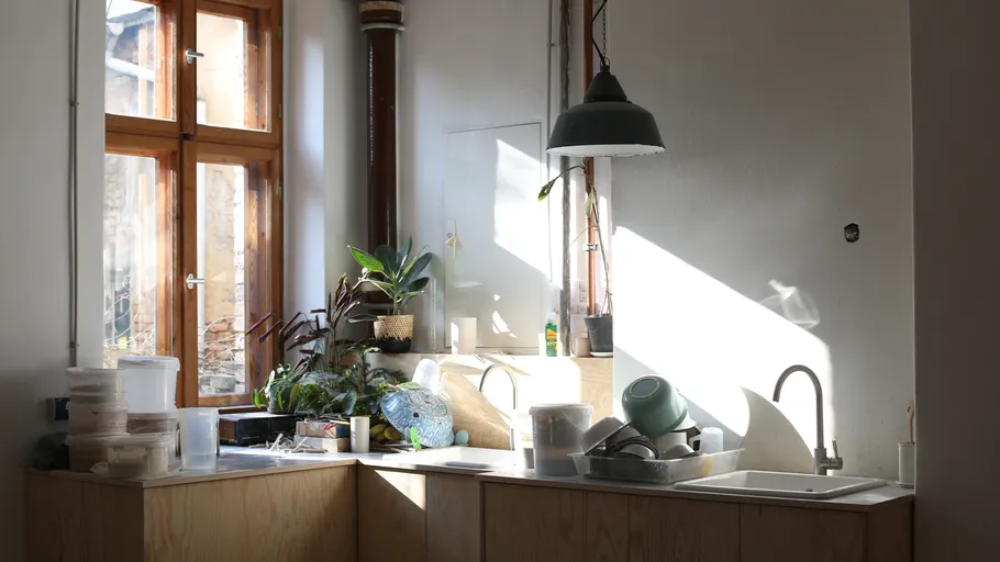 Küche mit Pflanzen, Licht strömt durch Fenster, Geschirr steht.