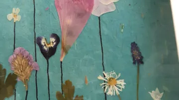 Dried flowers are arranged on a blue surface.